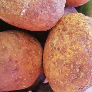 Green Monkey Orange (Big)