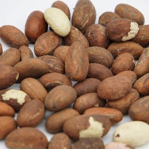 Garcinia Kola ( Kola Nuts )