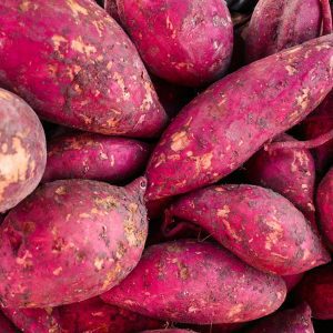 Sweet Potato