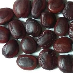 Tamarind Seeds