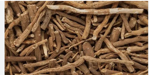 Roots Wholesale Supplier