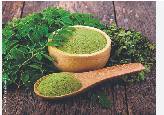 moringa powder